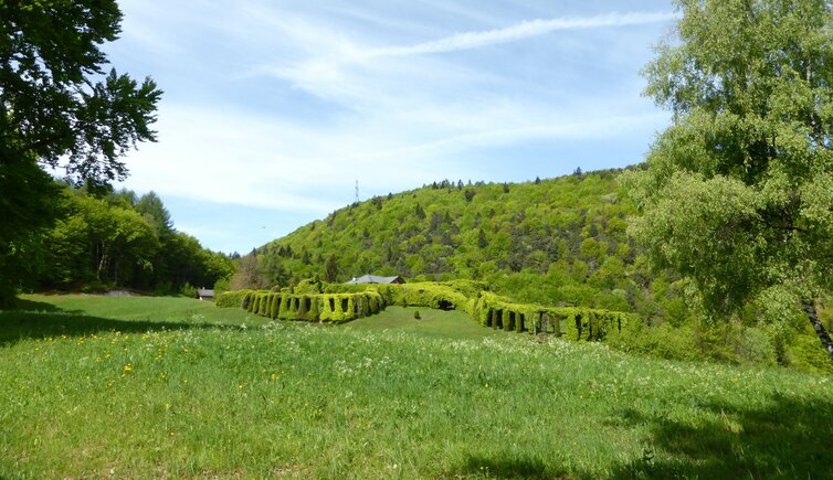 osservatorio ornitologico roccolo sauch