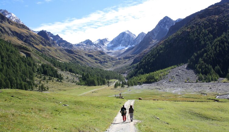 Meraner Hoehenweg Nord Hohe Weisse