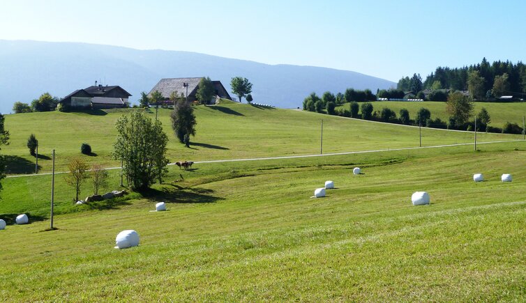 terenten pichlern umgebung