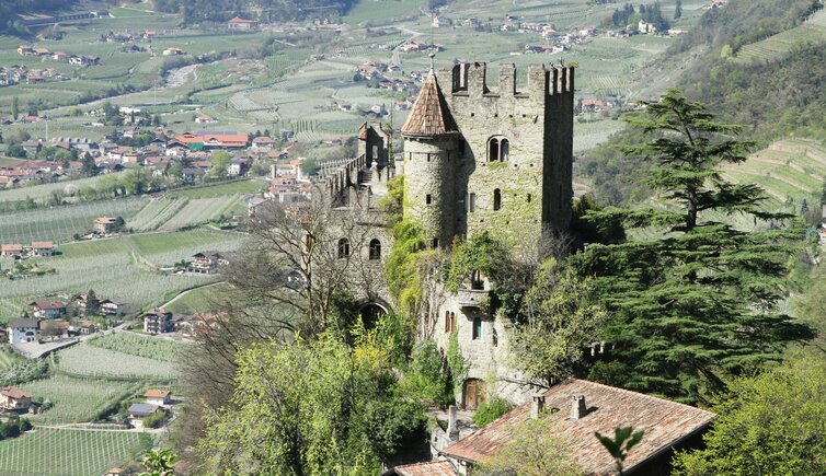 Burggrafenamt Dorf Tirol Fruehling Schloss Brunnenburg