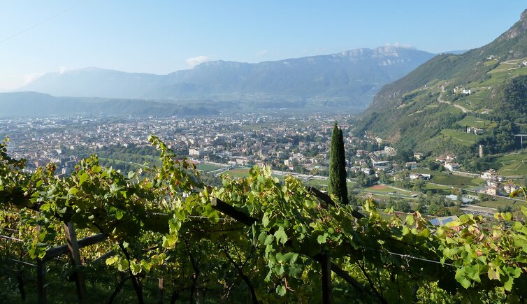 bozen gries vom keschtnweg aus