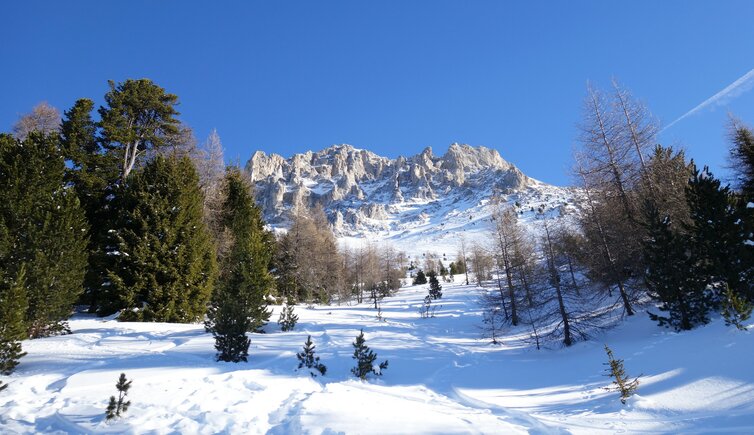 latemar winter schnee