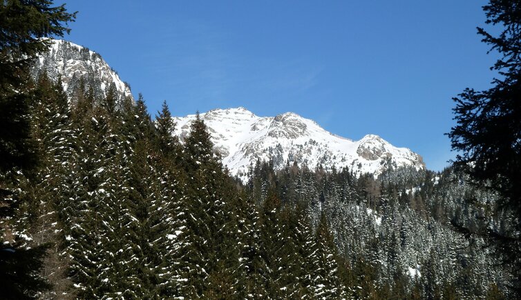 blick auf kleiner laugen winter