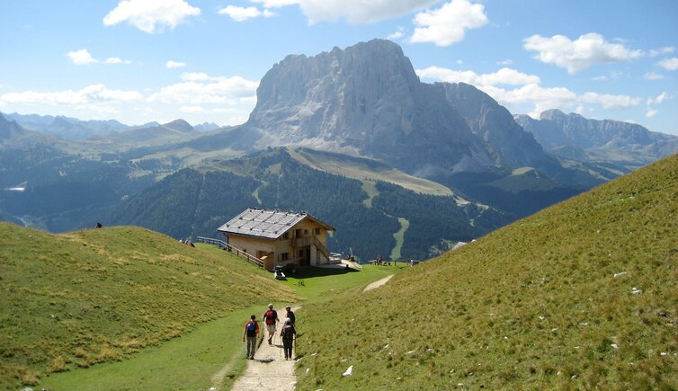 wanderweg bei stevia huette