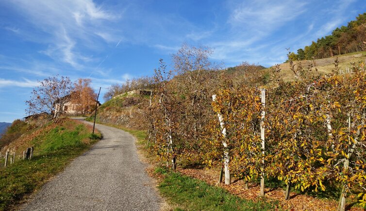 planatsch oberhalb vilpian