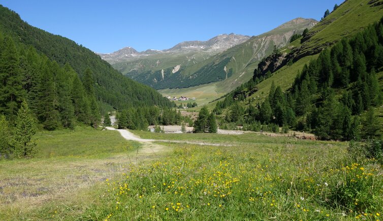 langtauferertal bei melager alm