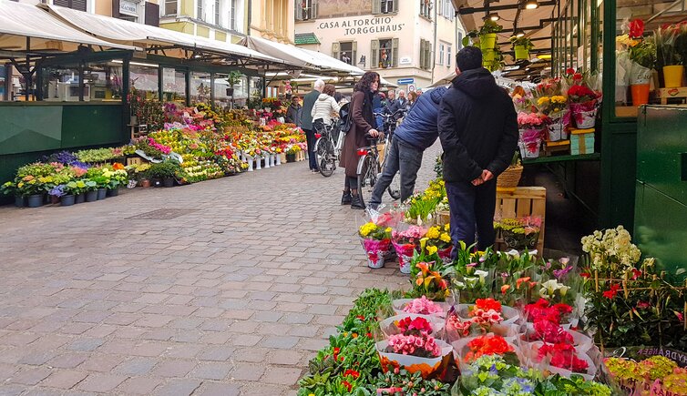 bozen obstmarkt