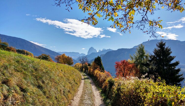 herbst blick richtung groeden mit sella langkofelgruppe