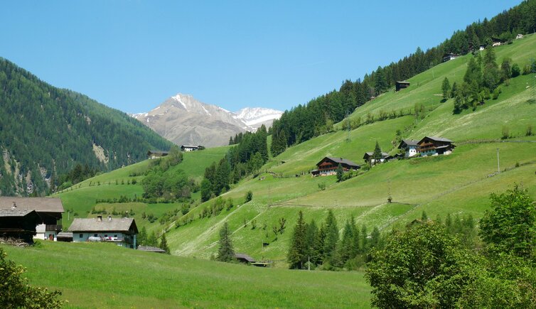 hoefe bei innermuehlwald muehlwalder tal