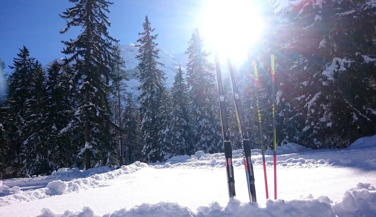 Langlaufen Toblach ski