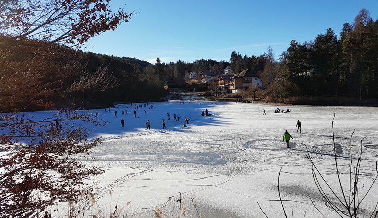 Wolfsgrubener See Winter Eislaufen