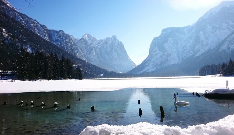 Langlaufen Toblach toblacher see