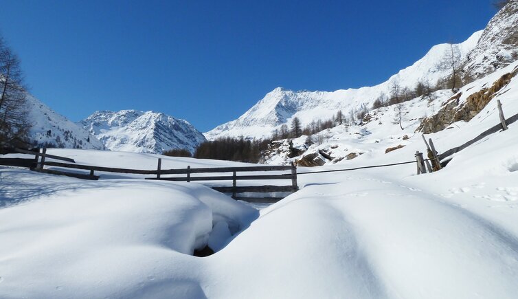 winter im pfelderer tal schnee