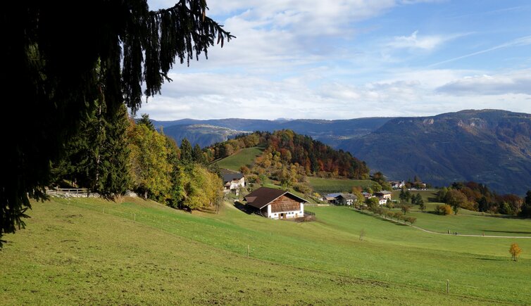 grissian wiesen herbst