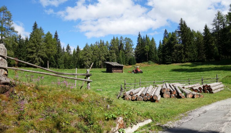 almwiesen unterhalb lachwiesenhuette