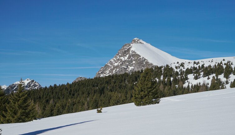 falzeben ifinger winter