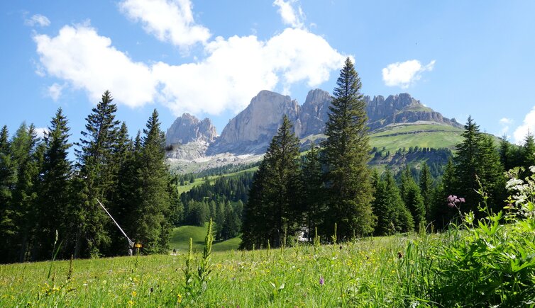 rosengarten bei karersee dorf