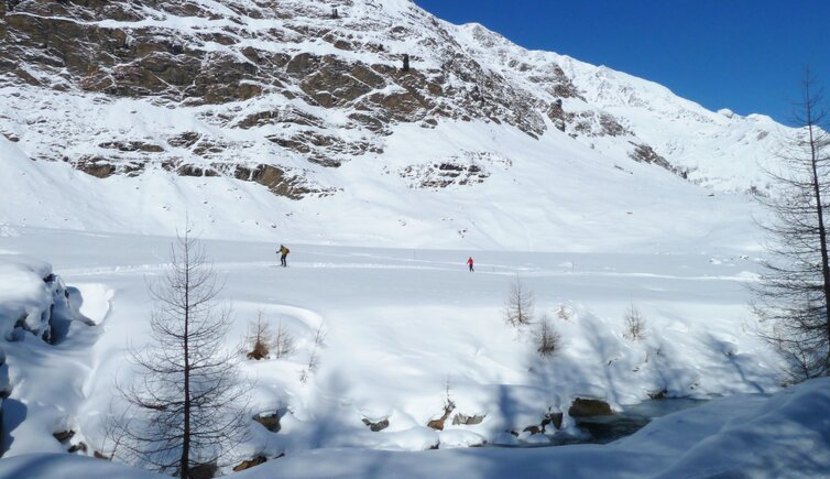 pflederer tal winter lazins langlauf loipe