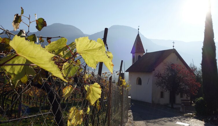 herbst weinlandschaft bei entiklar