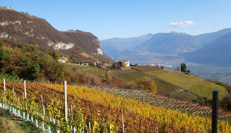 penon weinberge herbst blick richtung hofstatt und graun