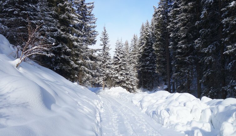 forstweg zur liegalm winter deutschnofen