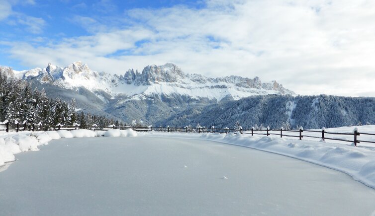 wuhnleger weiher tiers winter blick auf rosengarten