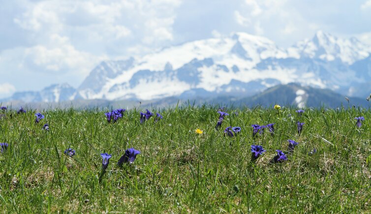 Naturpark Fanes Sennes Prags Alta Badia