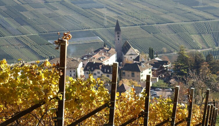 herbst blick auf kurtatsch