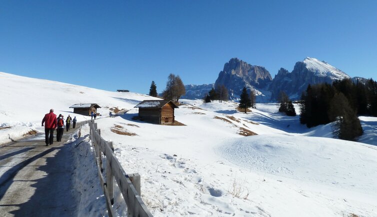 wanderung seiser alm winter hotel monte piz zur ritsch schwaige