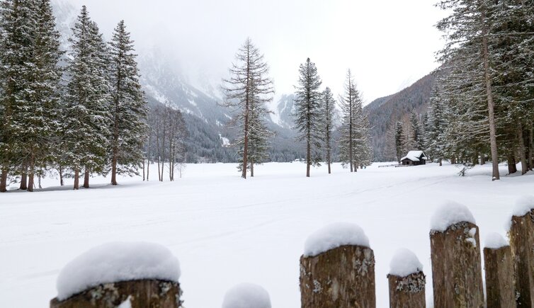 antholzer see winter