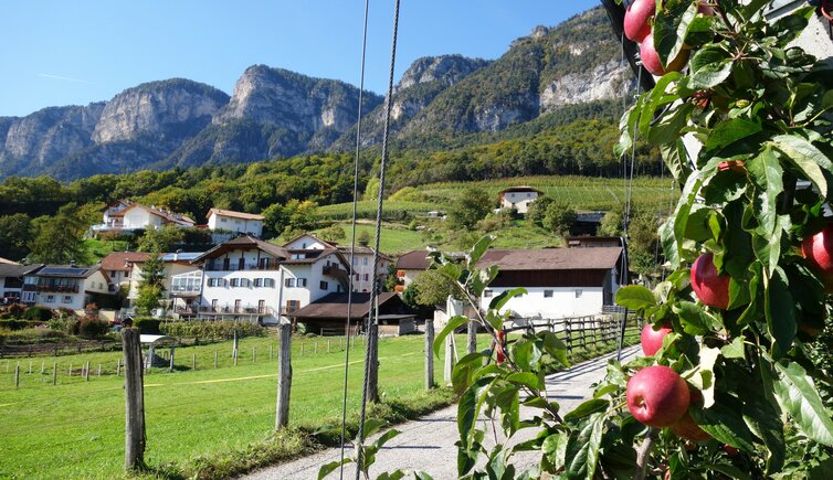 graun bei kurtatsch lochweg apfelbaum