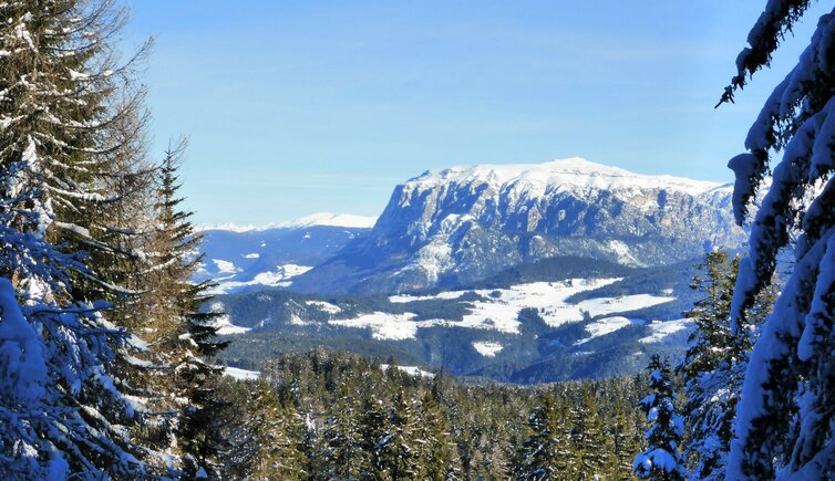 aussicht schlern und wiesen bei steinegg gummer winter