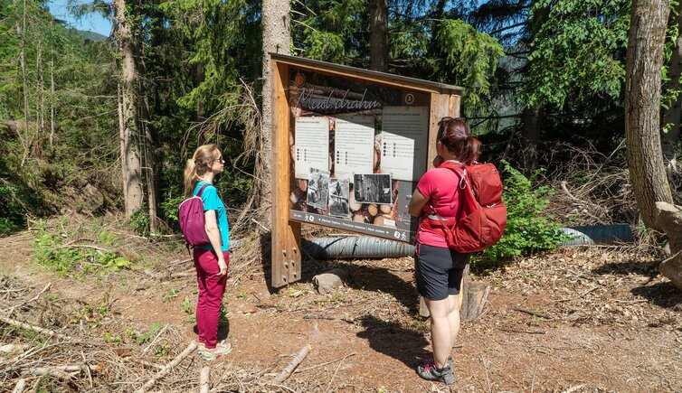 jenesien afing holzfaellerweg infotafel