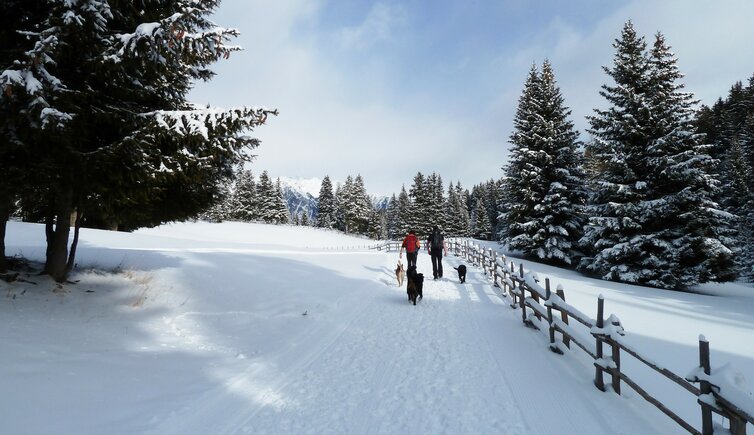 vigiljoch winter wanderweg wanderer