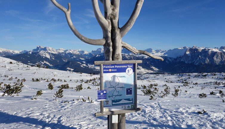 premium panorama tour rittnerhorn winter