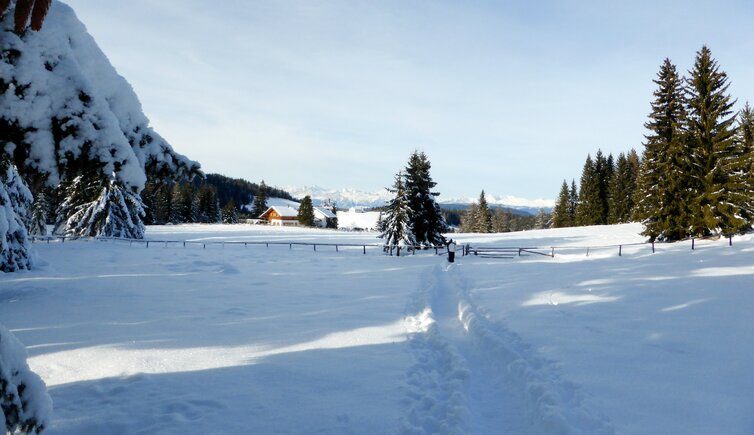 wanderweg bei petersberger leger winter