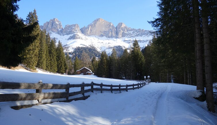 weg richtung moseralm winter rosengarten