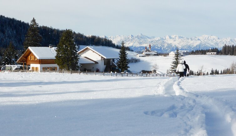 wanderweg bei petersberger leger winter