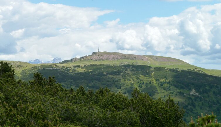 sicht auf rittner horn von weg nr