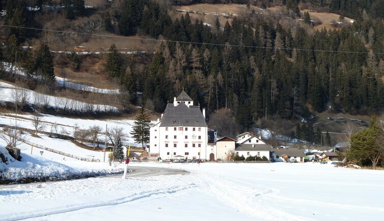 wiesen pfitsch winter schloss moos