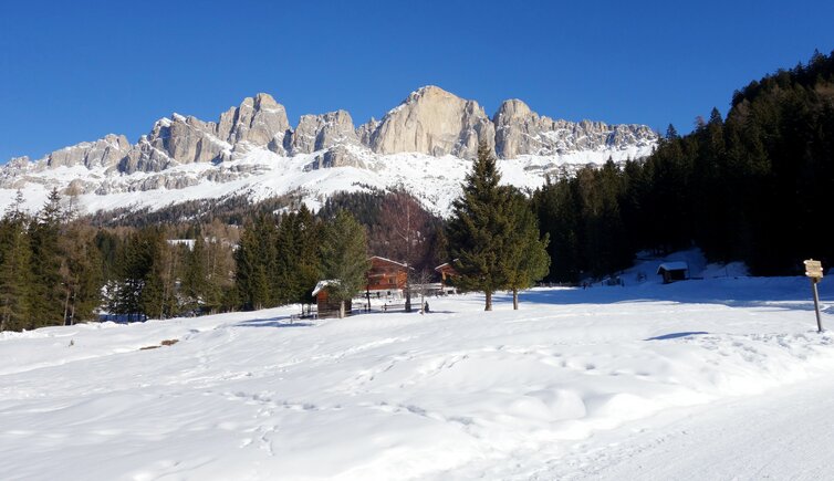 winter wiesen bei moseralm dahinter rosengarten