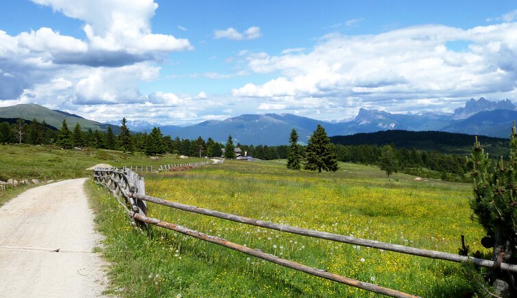 weg nr villanderer alm zum moar in plun