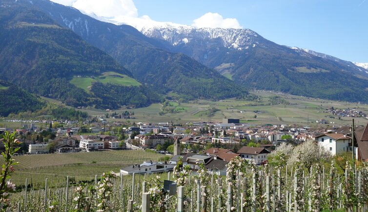 fruehling blick ueber naturns