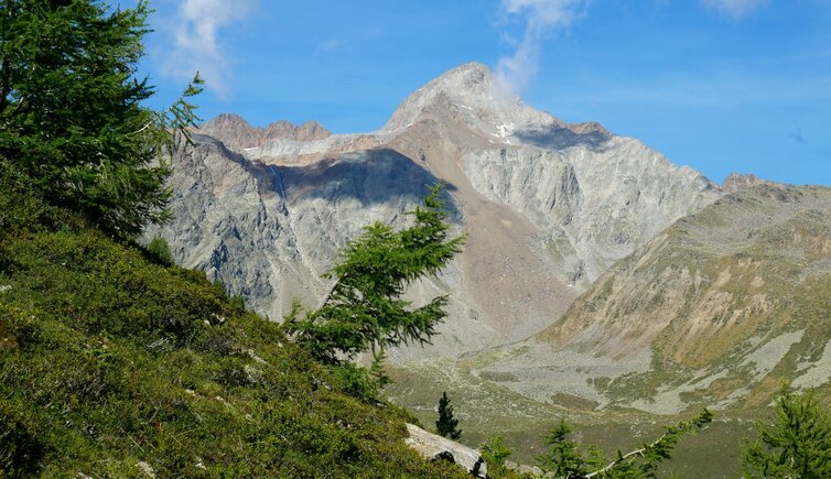 blick richtung lagaunspitze saldurspitze