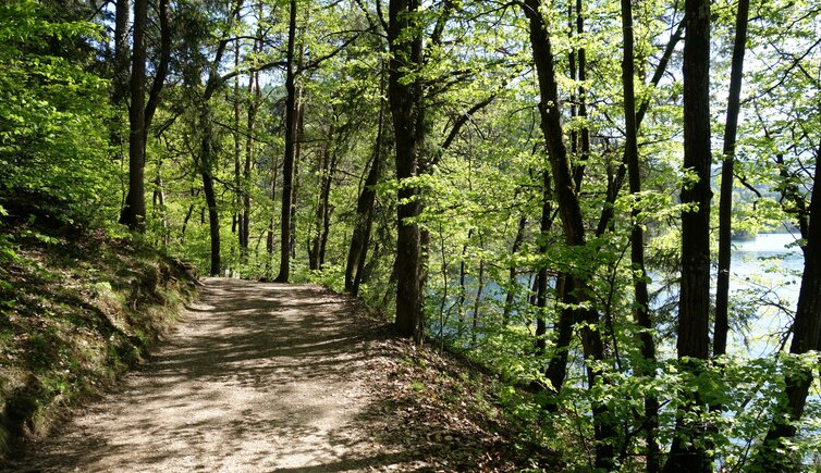 rundweg grosser montiggler see