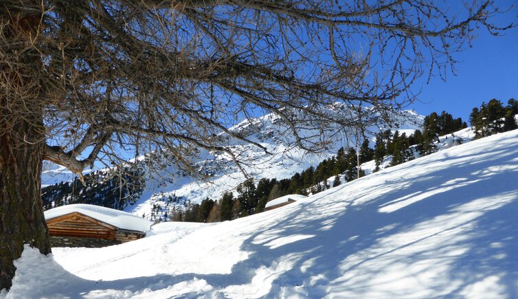 weg nr bei peder stieralm winter martell