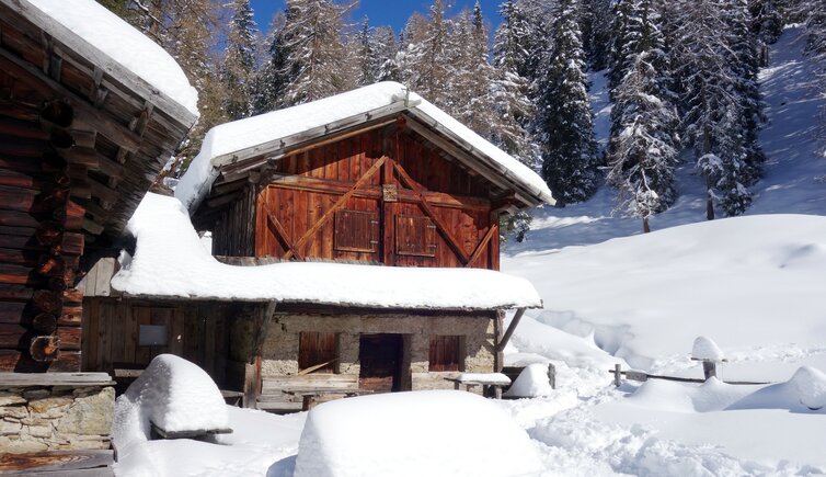 walten seeberg alm winter