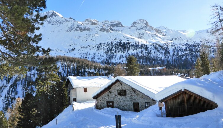 hinteres martelltal winter enzianalm ort des christkindlmarktes