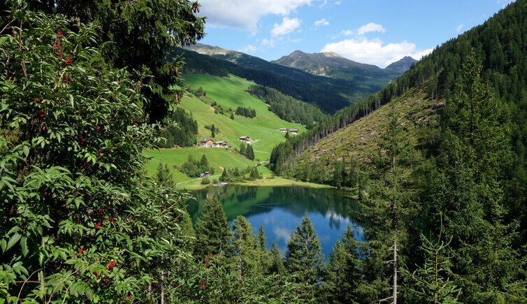 blick auf durnholzer see