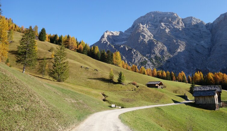 la val wengen herbst neunerkofel zehnerkofel fanes fr